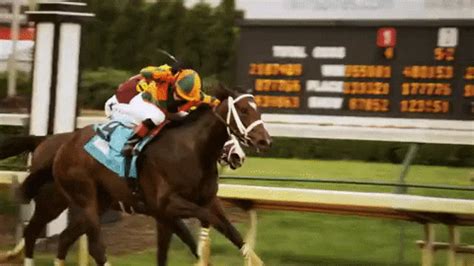 horse racing gif|horse gifs free.